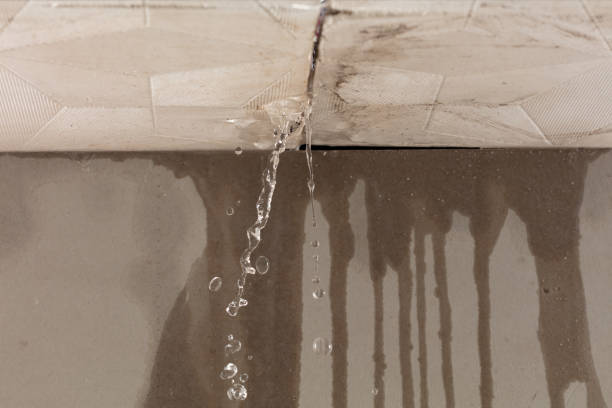 Professional Structural Drying technician working in Scandinavia, WI
